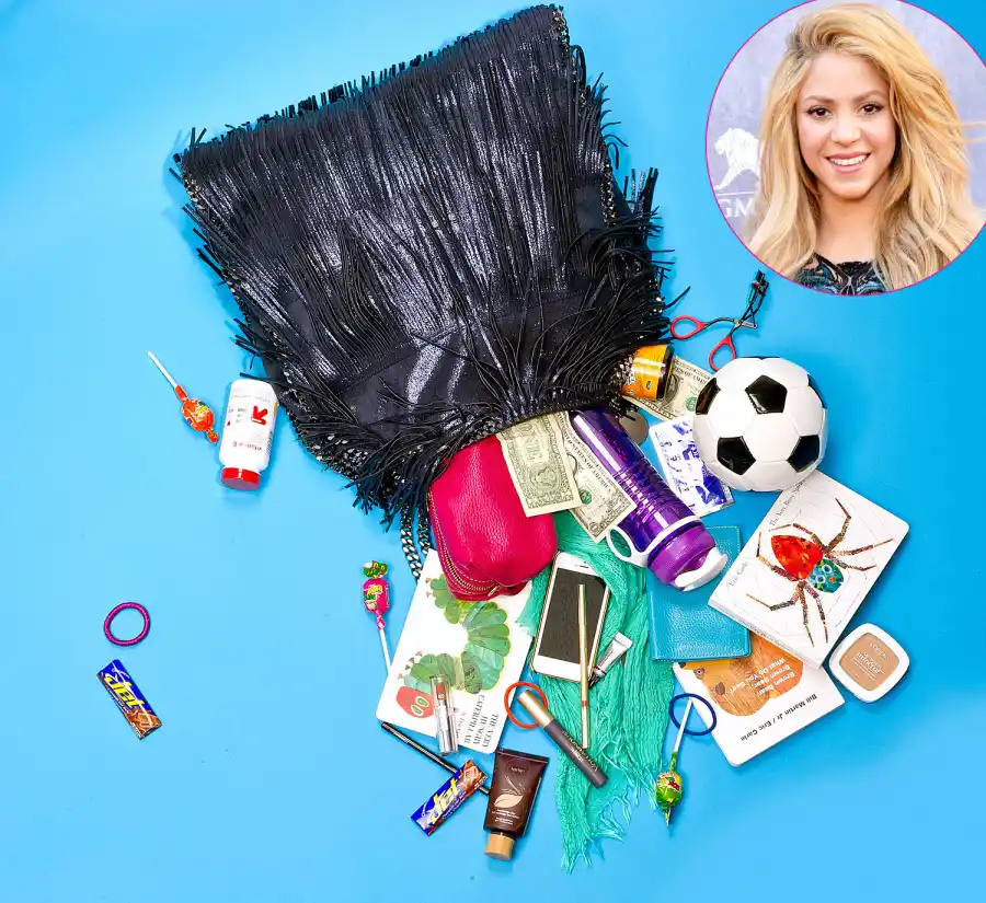 1404173689_shakira bag zoom