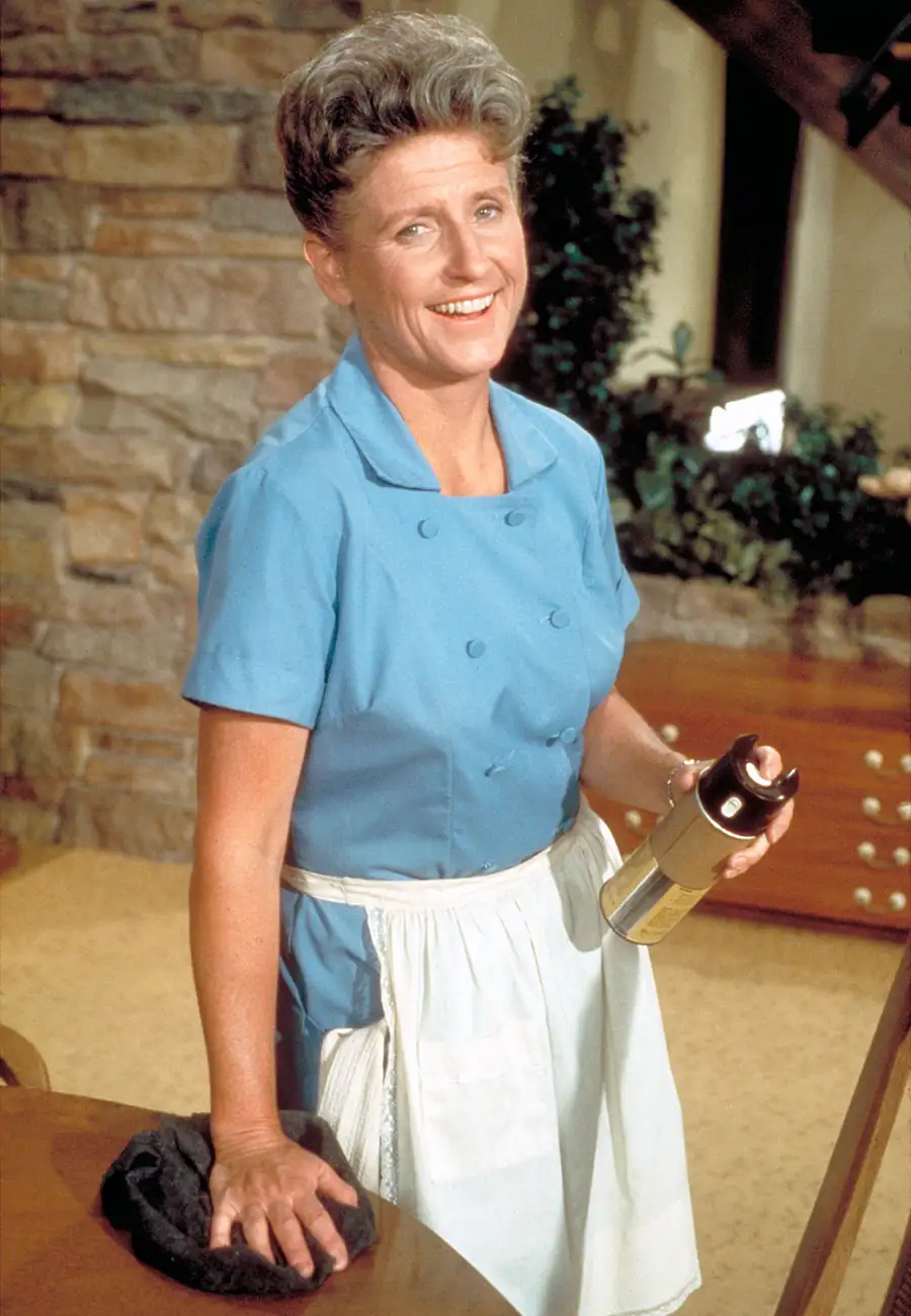1407859368_ann b davis zoom