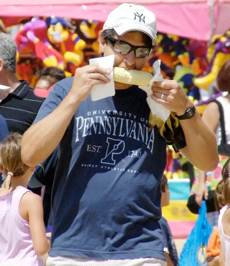 1410805637_ray romano zoom