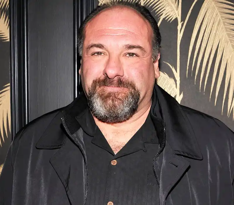 1412638289_gone too soon james gandolfini zoom