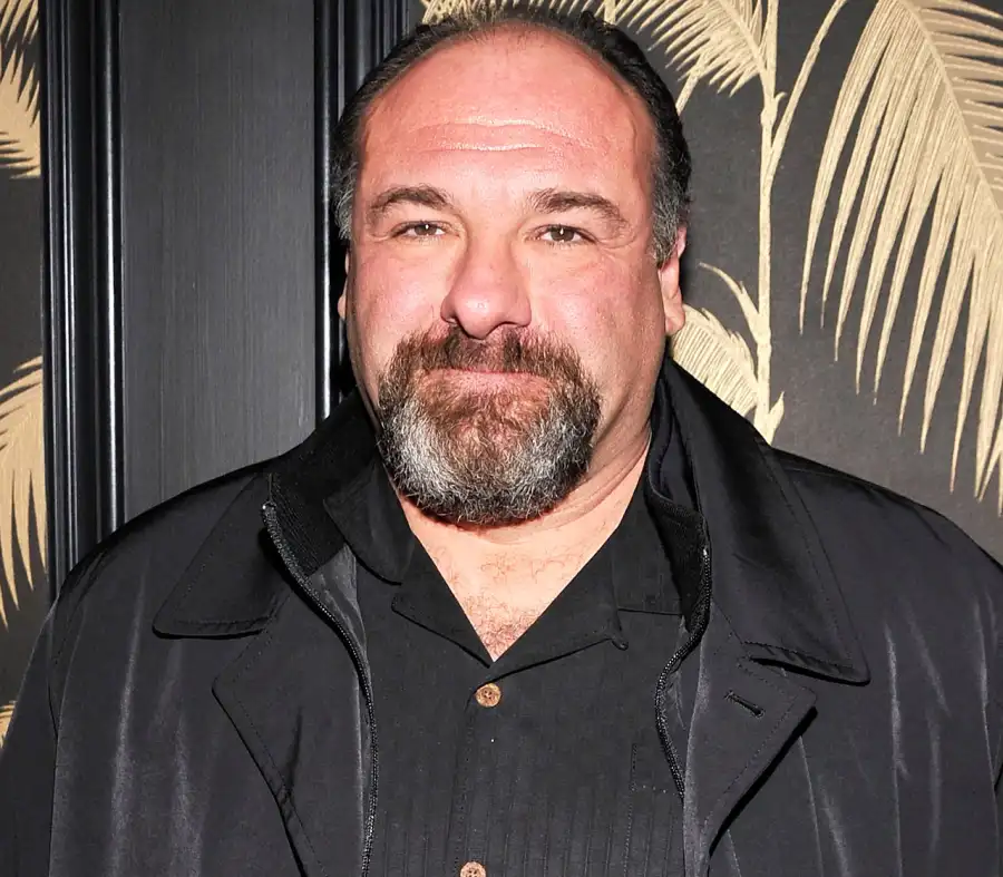 1412638289_gone too soon james gandolfini zoom