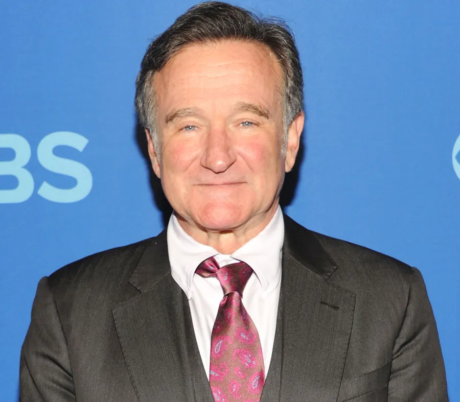1412639067_gone too soon robin williams zoom