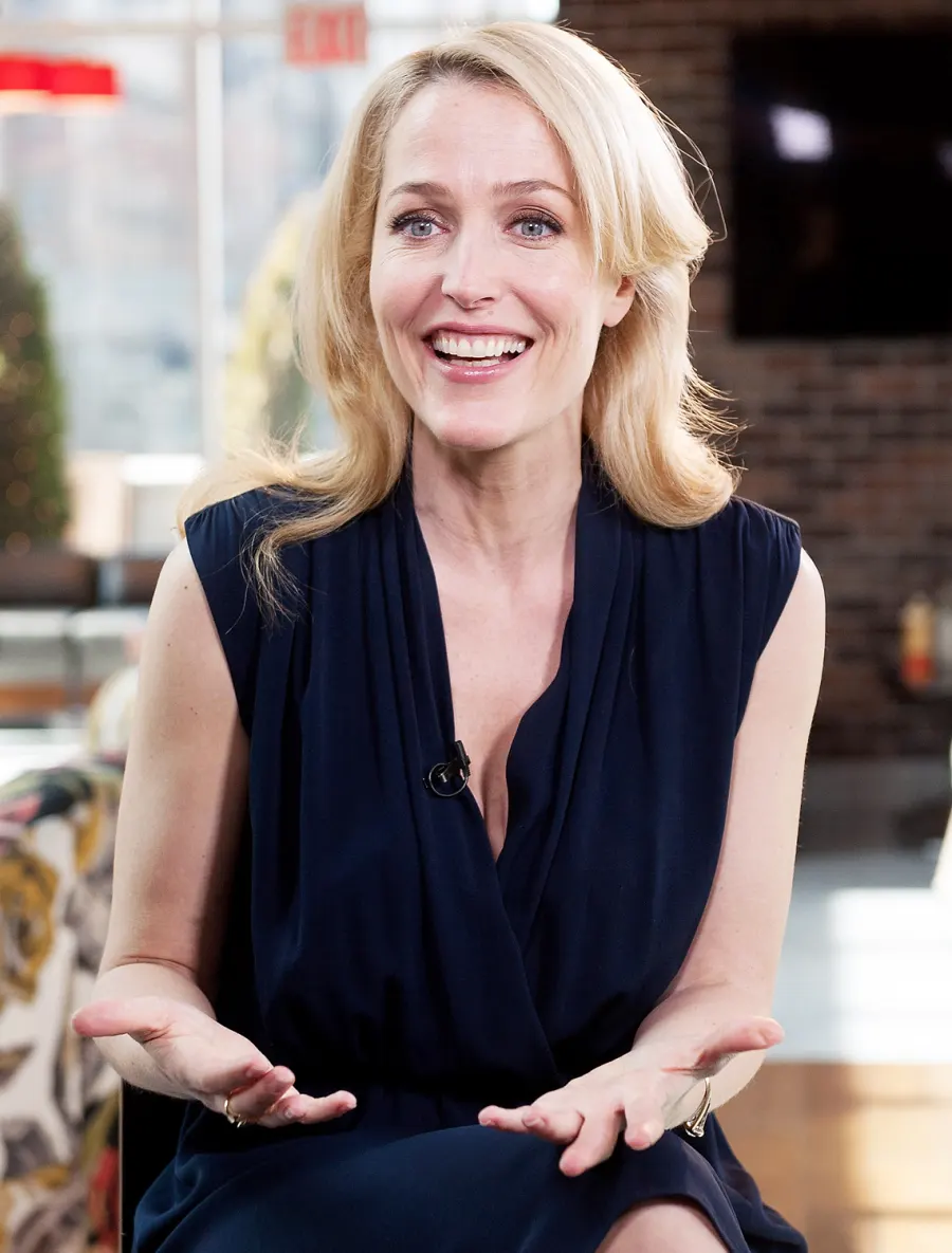 1413990179_gillian anderson zoom