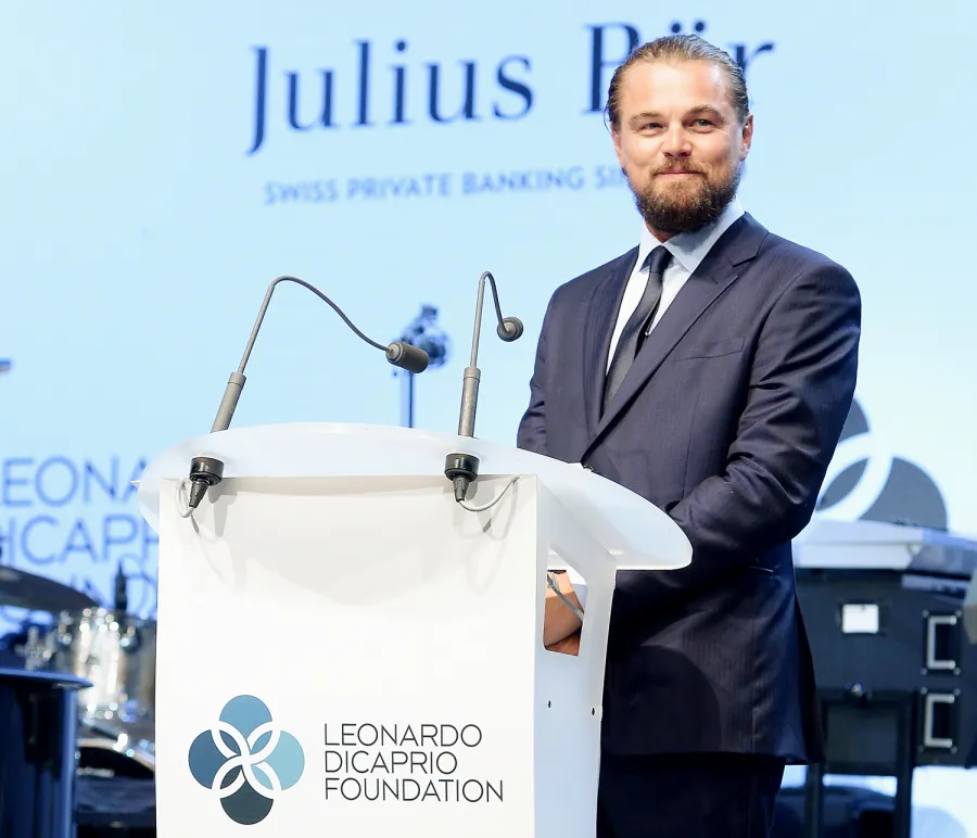 1415997165_leonardo dicaprio zoom