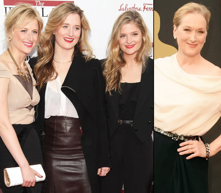 1416282780_meryl streep daughters zoom