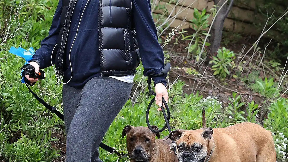 Pregnant Jessica Biel