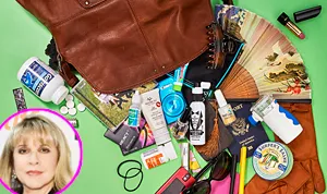 1421267220_stevie nicks bag 178