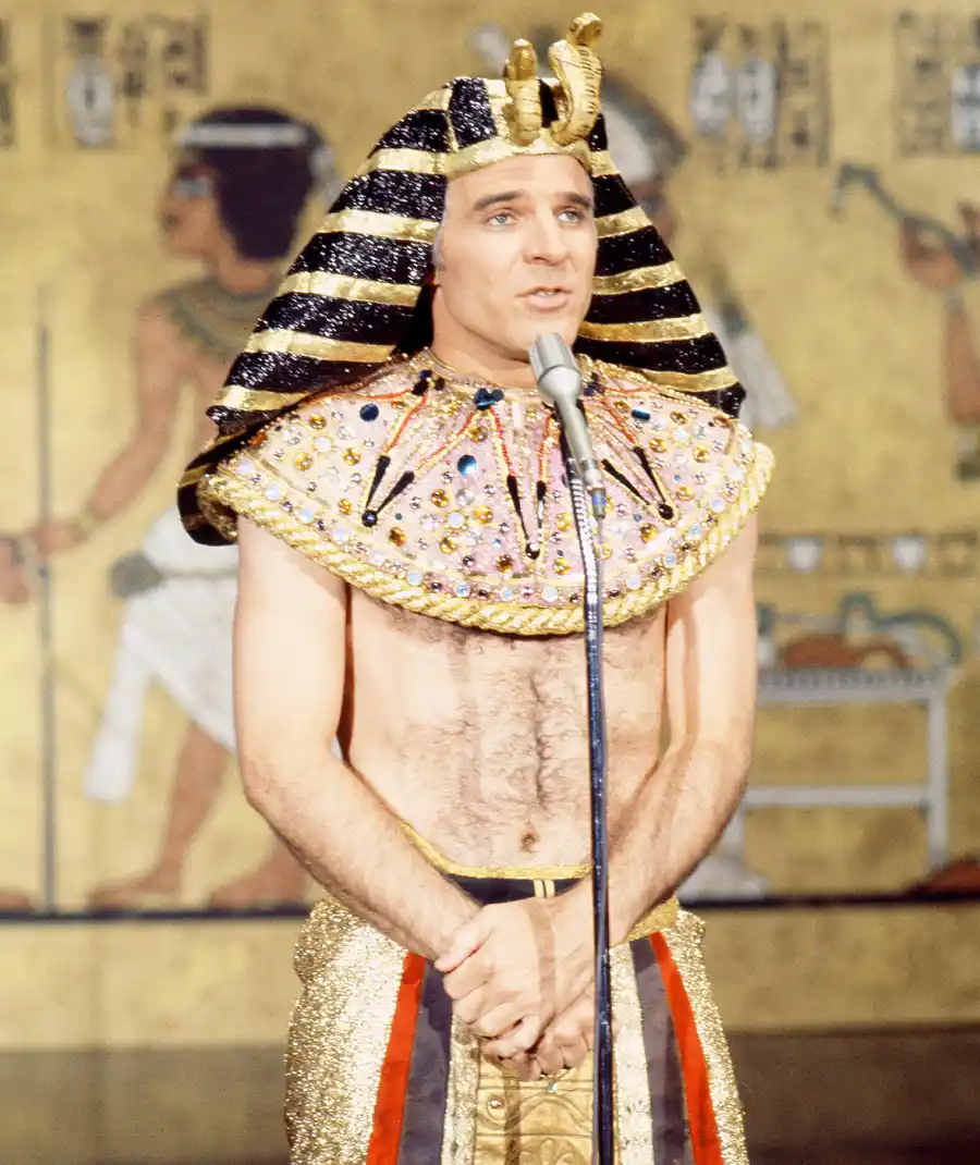 1423823369_160056315_steve martin zoom