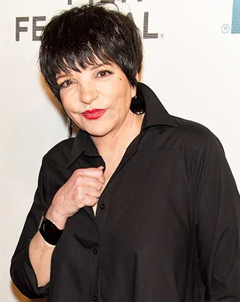 1426721718_liza minnelli 441