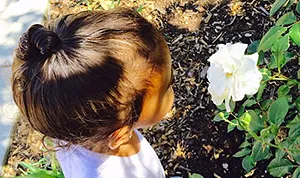 1428078636_north west 178