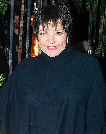 1429575599_liza minnelli 441
