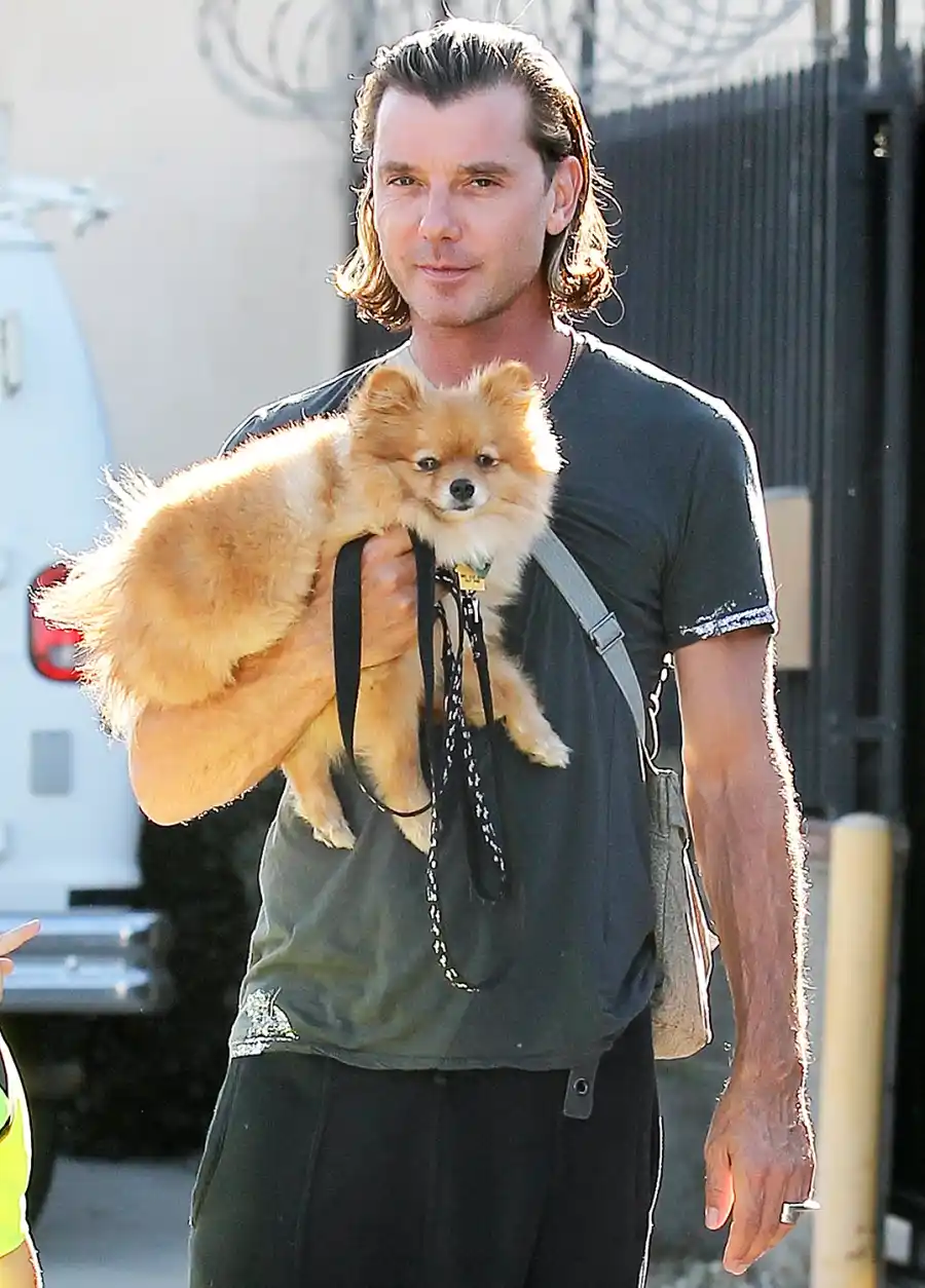 1430330287_gavin rossdale zoom