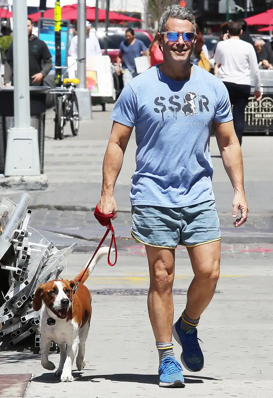 1430333601_andy cohen zoom