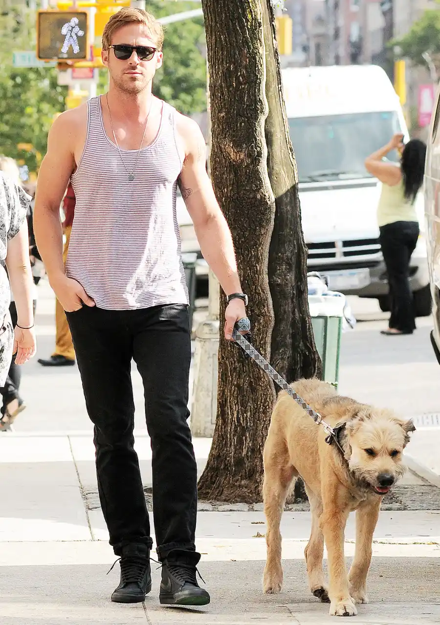 1430417279_ryan gosling zoom