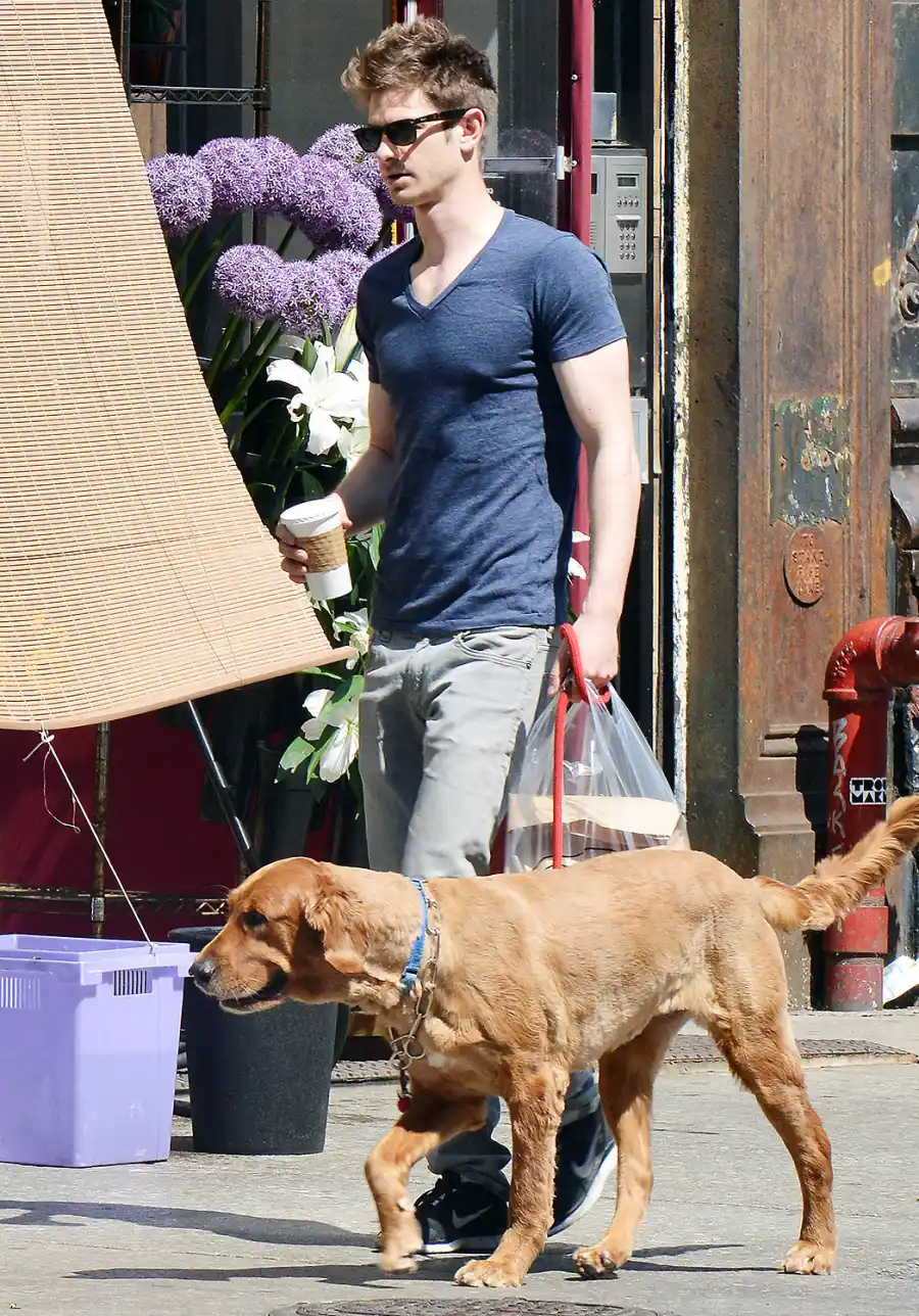 1430500463_andrew garfield zoom