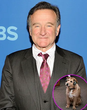 1430757999_robin williams absolutely anything 441