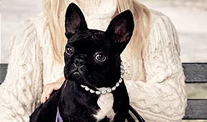 1435084505_asia lady gaga coach 300