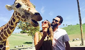 1441297428_kristen doute carter giraffe 178