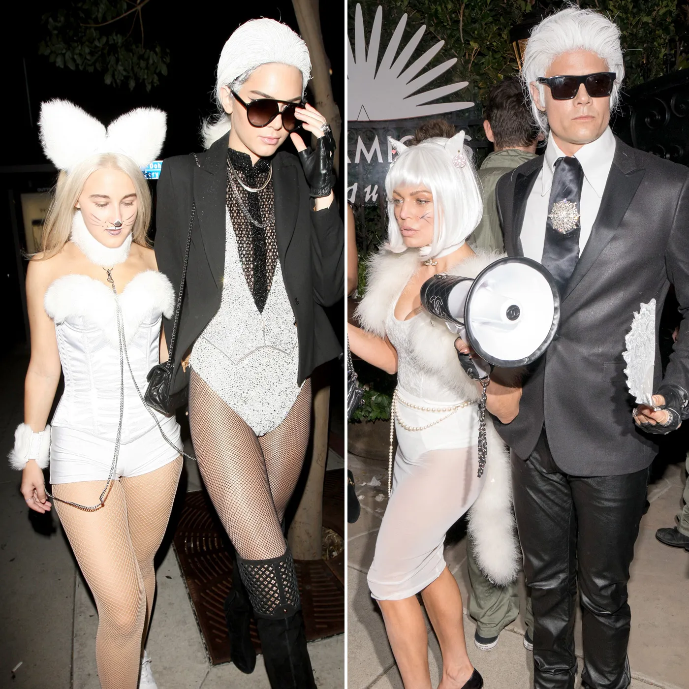 1446410242_karl zoom