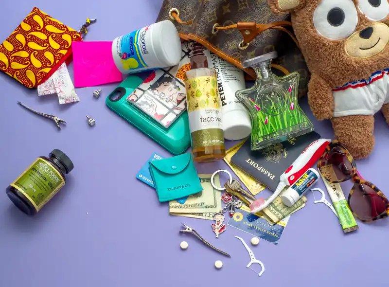 1447268283_meagan good bag zoom