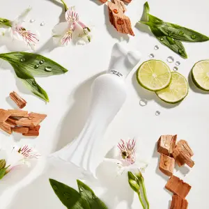 Paralux Paris Hilton