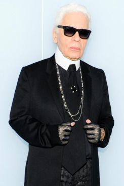 31-karl-lagerfeld.w245.h368 karl lagerfeld cat