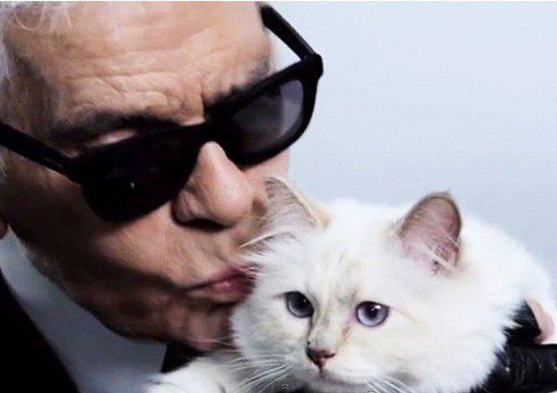 enhanced-2051-1410140661-1 karl lagerfeld cat