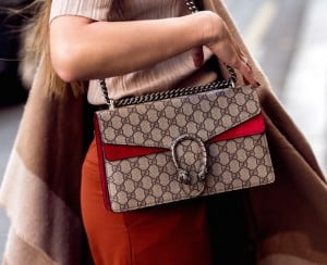 The Gucci Dionysus Bag
