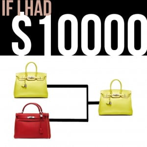 Understanding Bag Preference