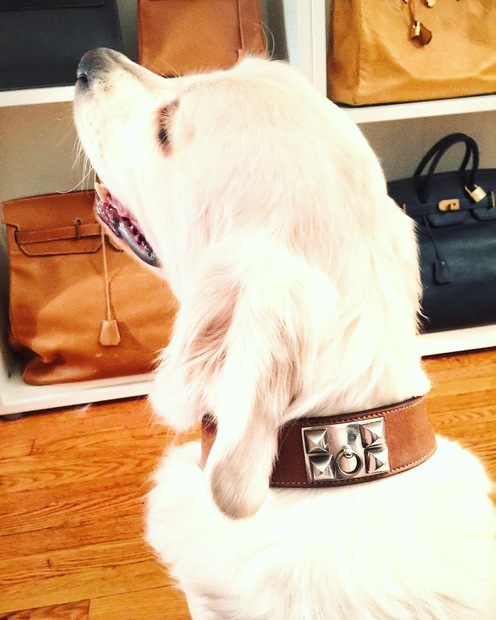 unnamed (1) Hermes Special Orders