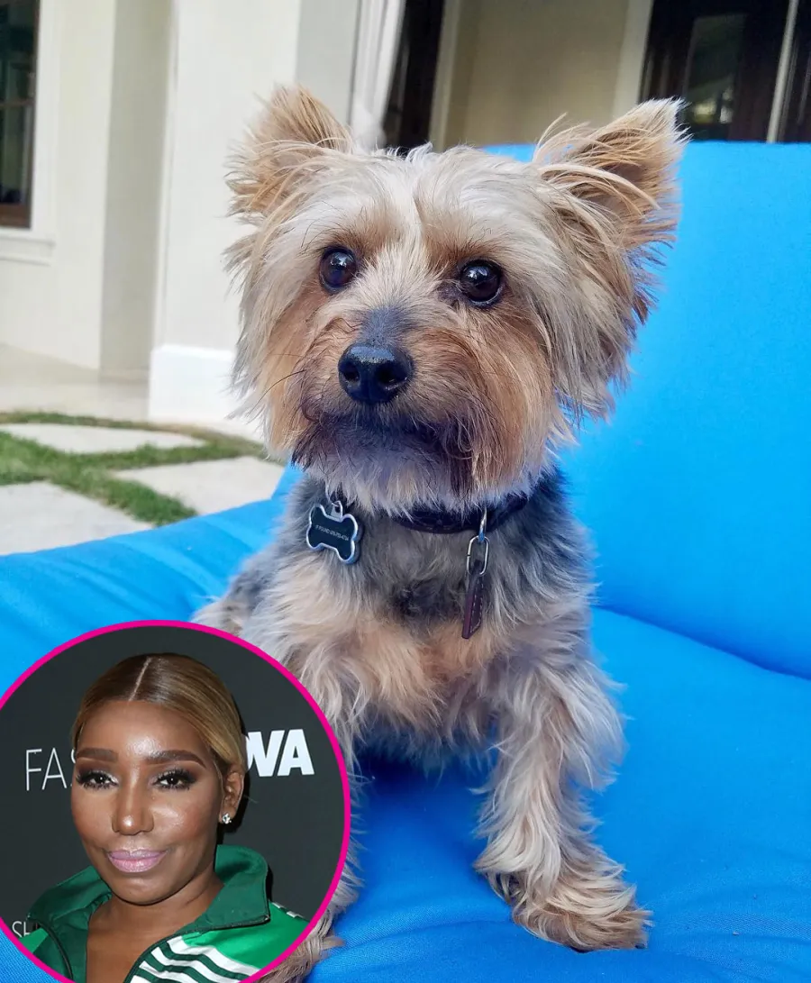 A Guide to the Real Housewives Cutest Pets