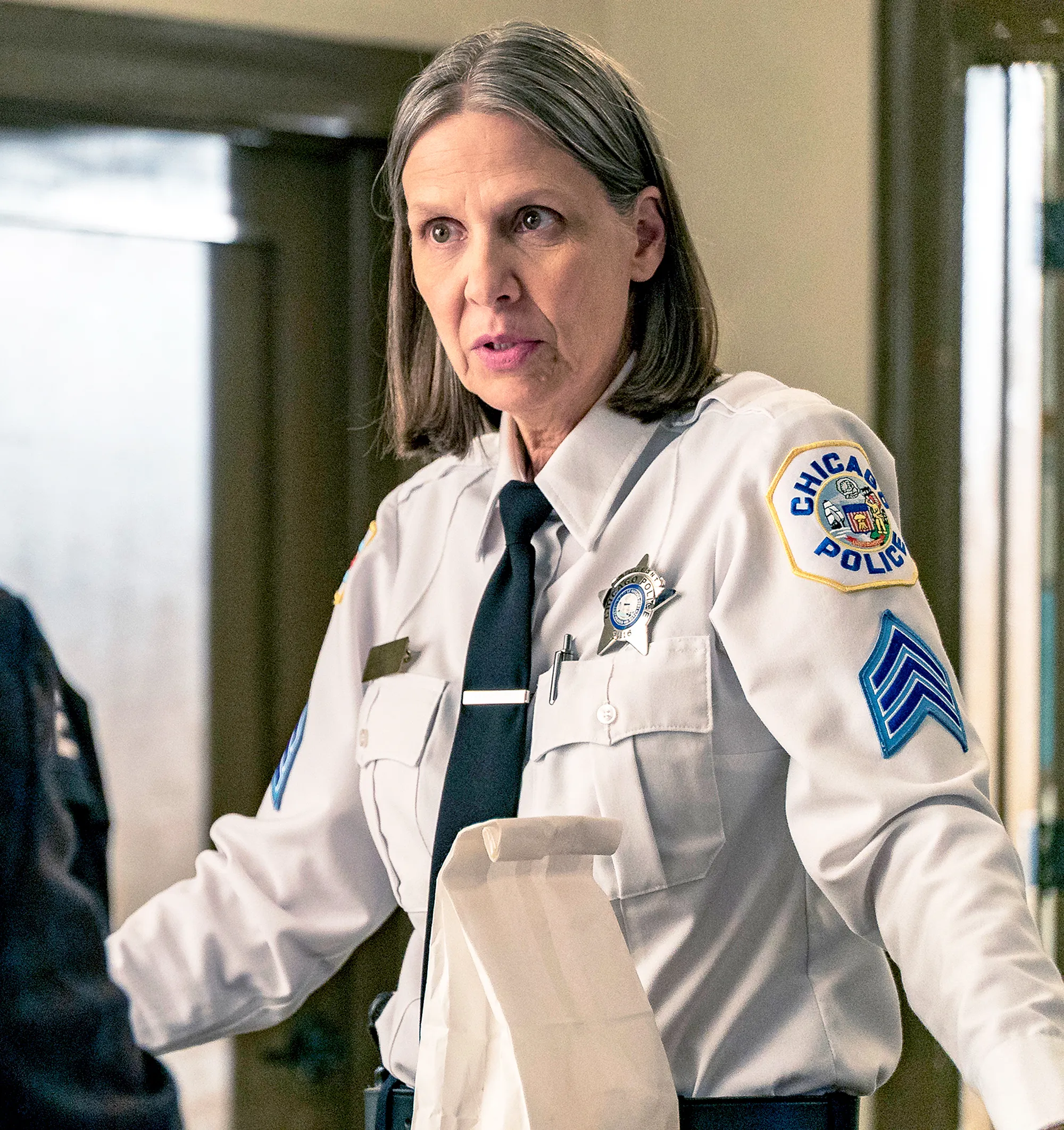 Amy Morton as Trudy Platt on Chicago P.D.