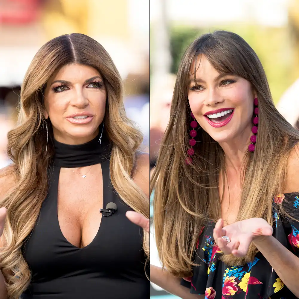 Teresa Giudice and Sofia Vergara