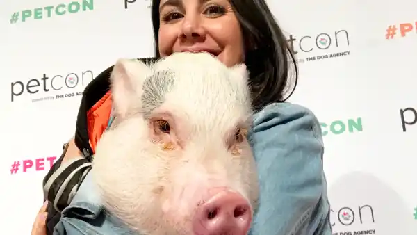 Hamlet The Piggy with owner Melanie Garcia