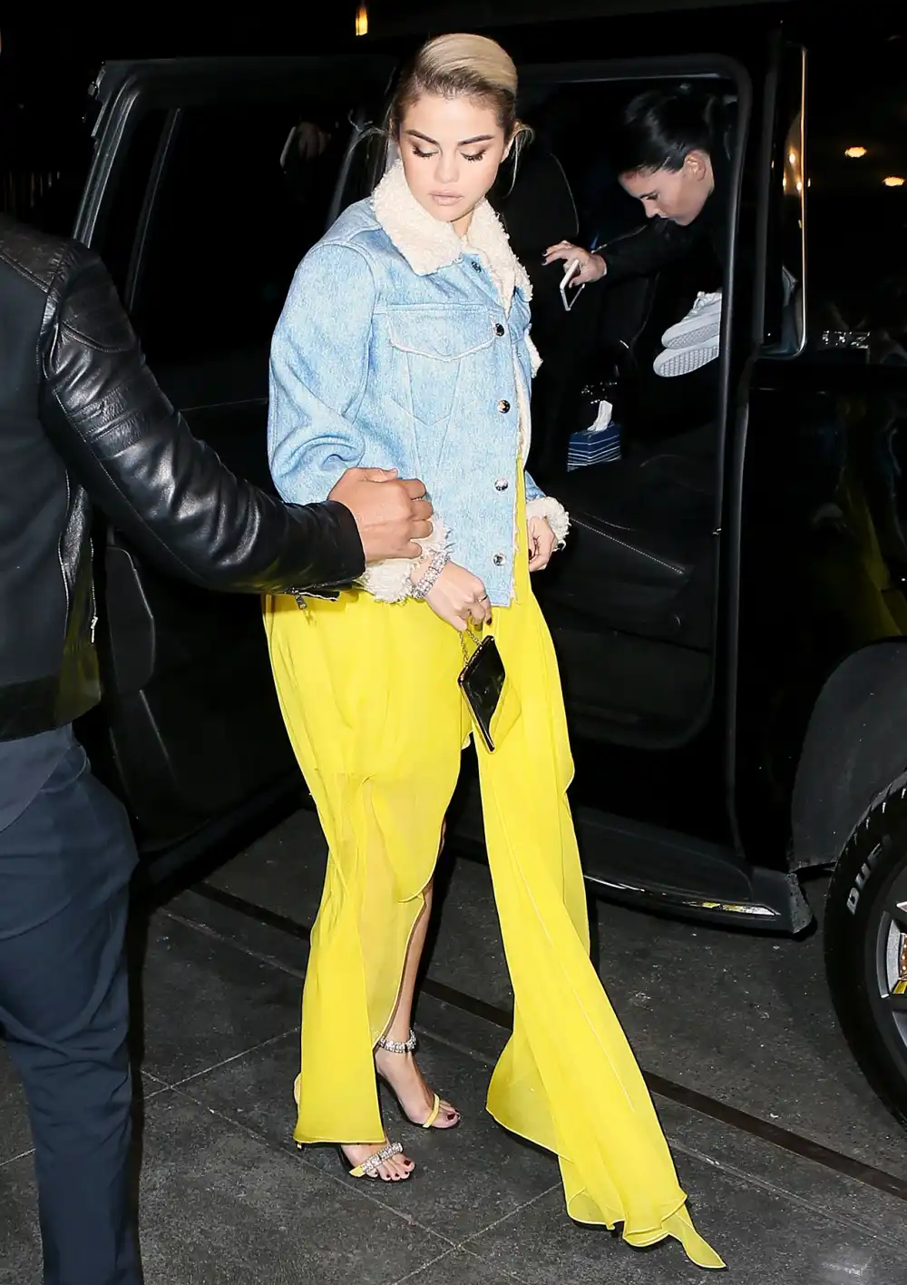 Selena Gomez Lupus Research Alliance Breaking Through Lupus Gala