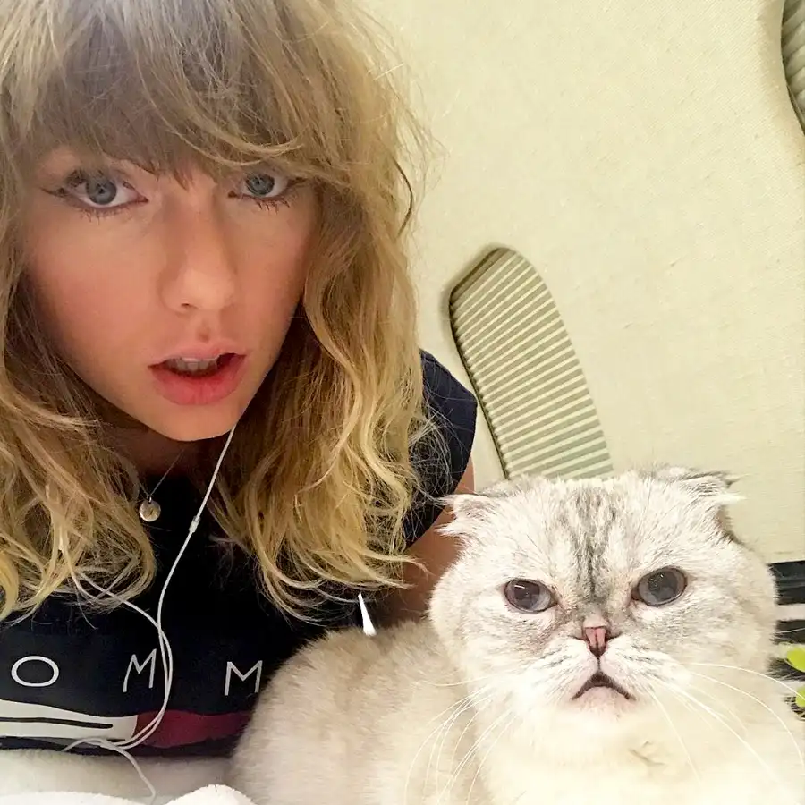 Taylor Swift Cat