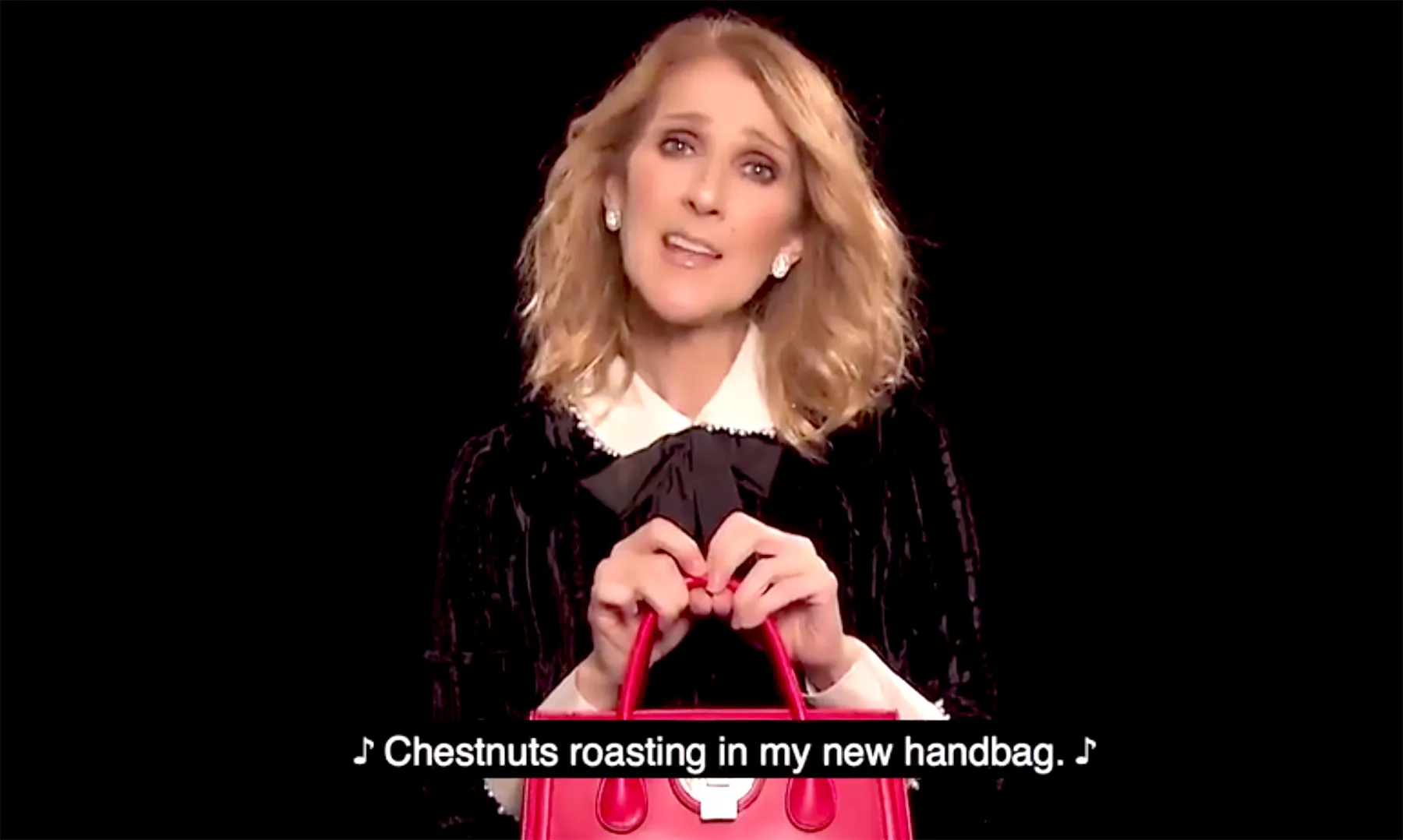 Celine Dion bag Christmas