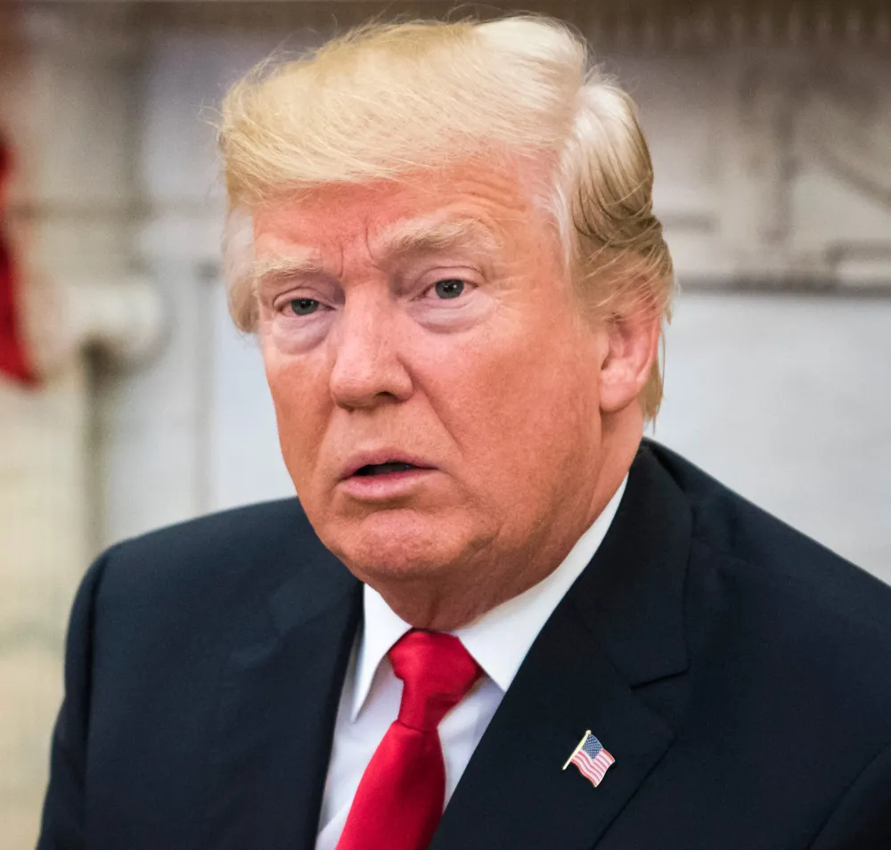 Donald Trump, Michael Flynn