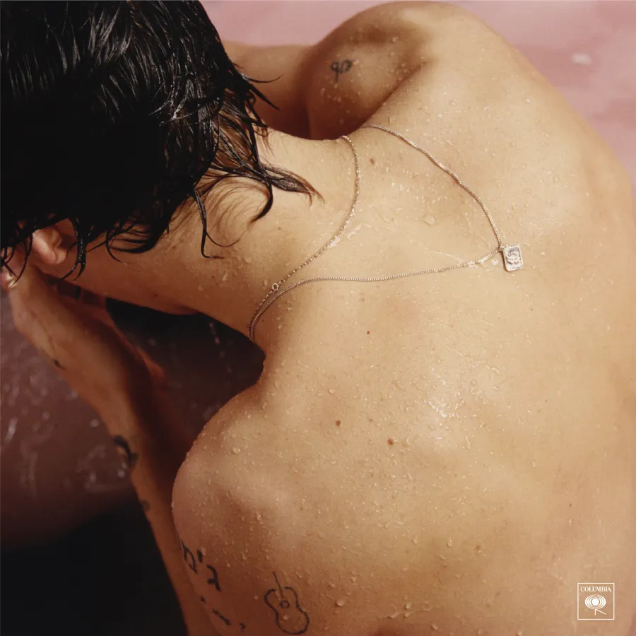 harry styles album cover