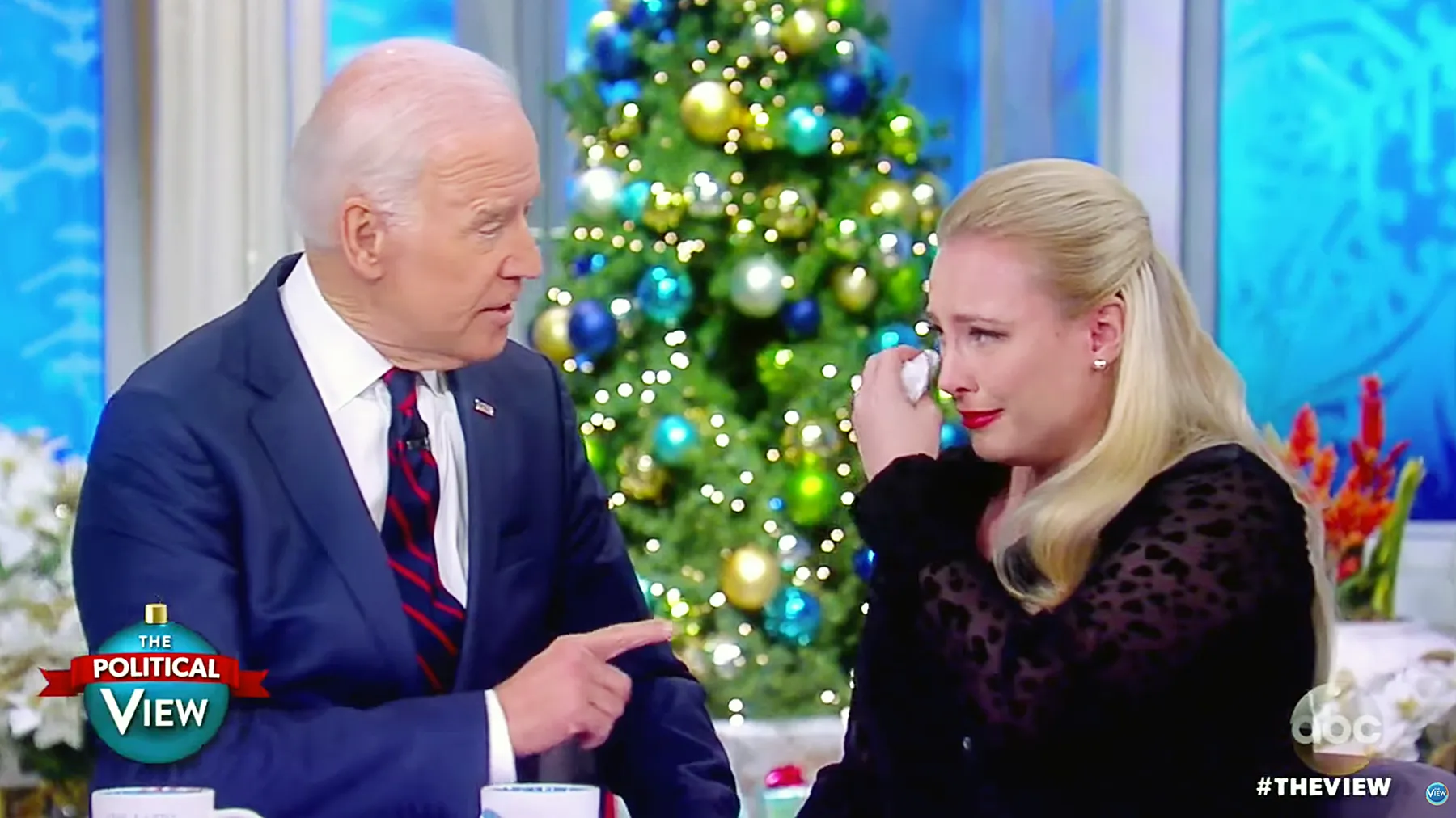 Joe Biden and Meghan McCain on The View
