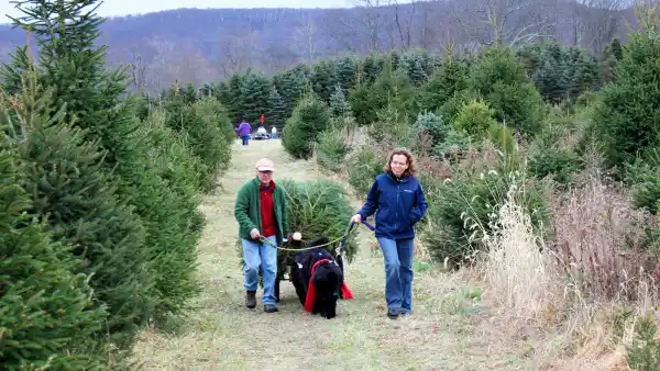 Plow Farms