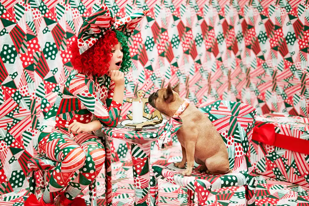 ASPCA Sia Puppies are Forever