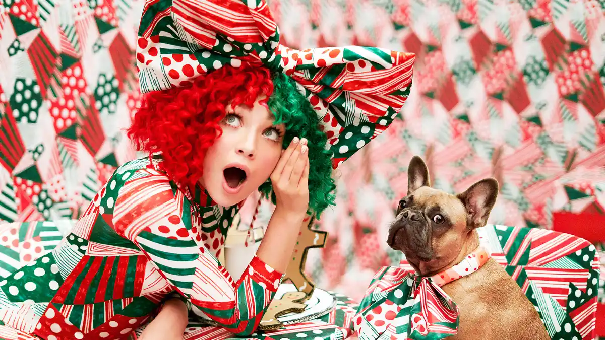 ASPCA Sia Puppies are Forever