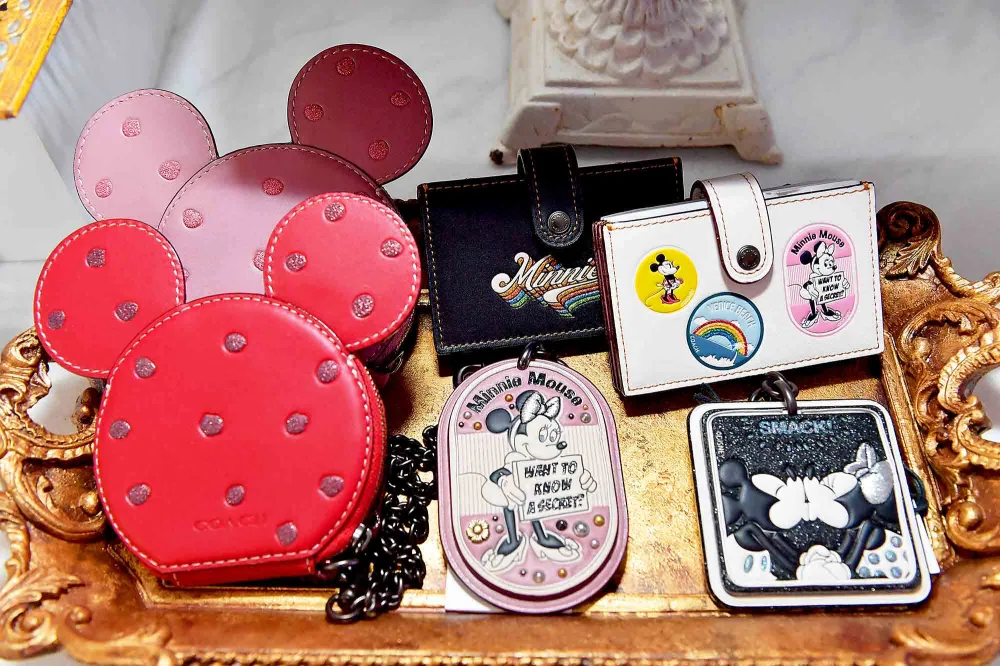 The Lunch Celebrating Minnie's Star on the Hollywood Walk of Fame at Chateau Marmont on January 22, 2018 in Los Angeles, California.