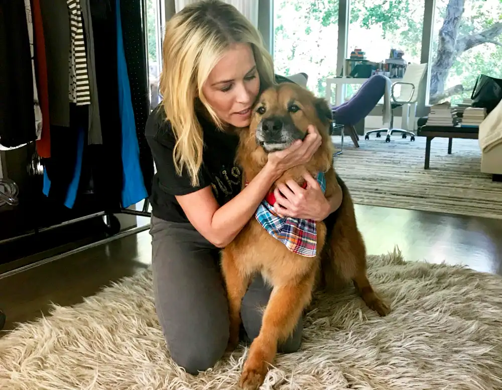 Chelsea Handler&rsquo;s dog Chuck