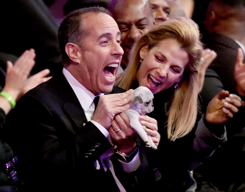 Jerry-Seinfeld-puppy