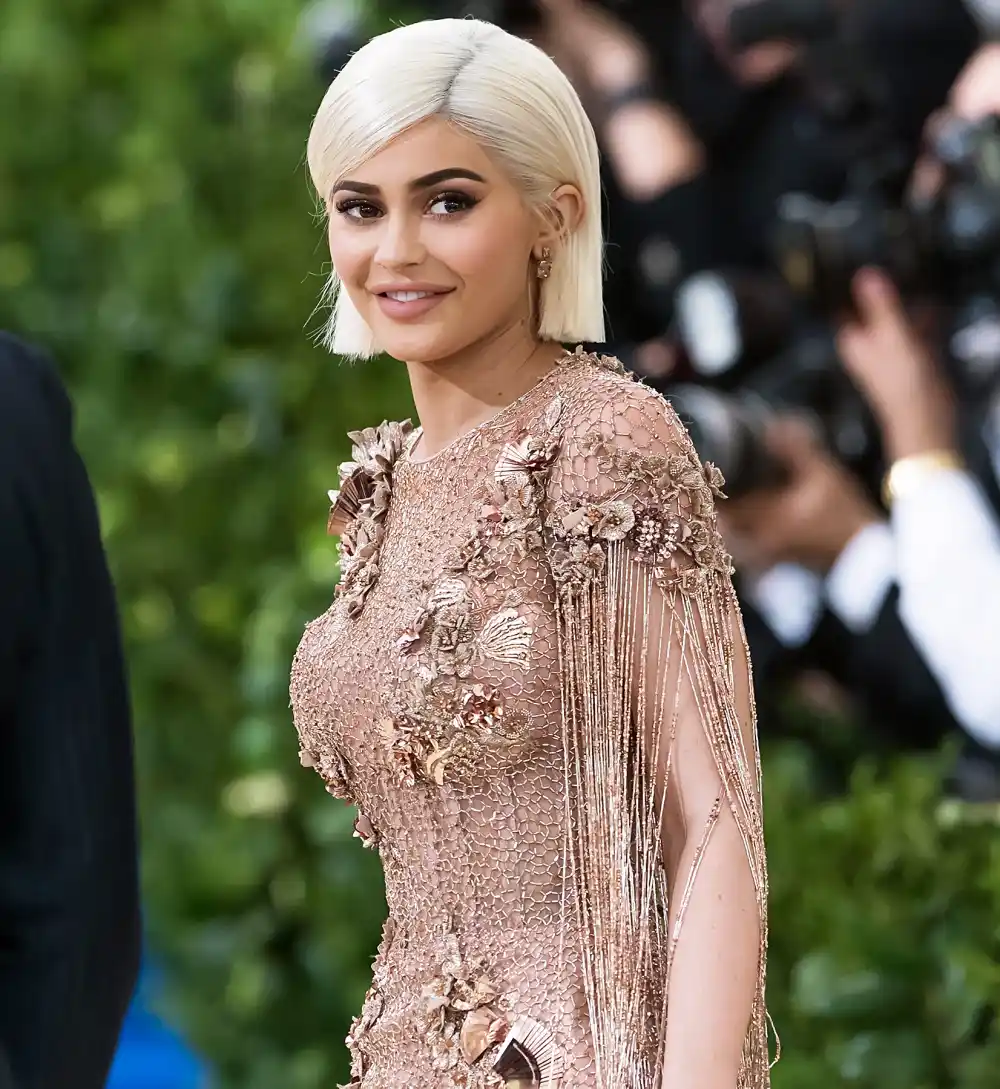 Kylie Jenner Preparing Replica Luxury Handbag Baby