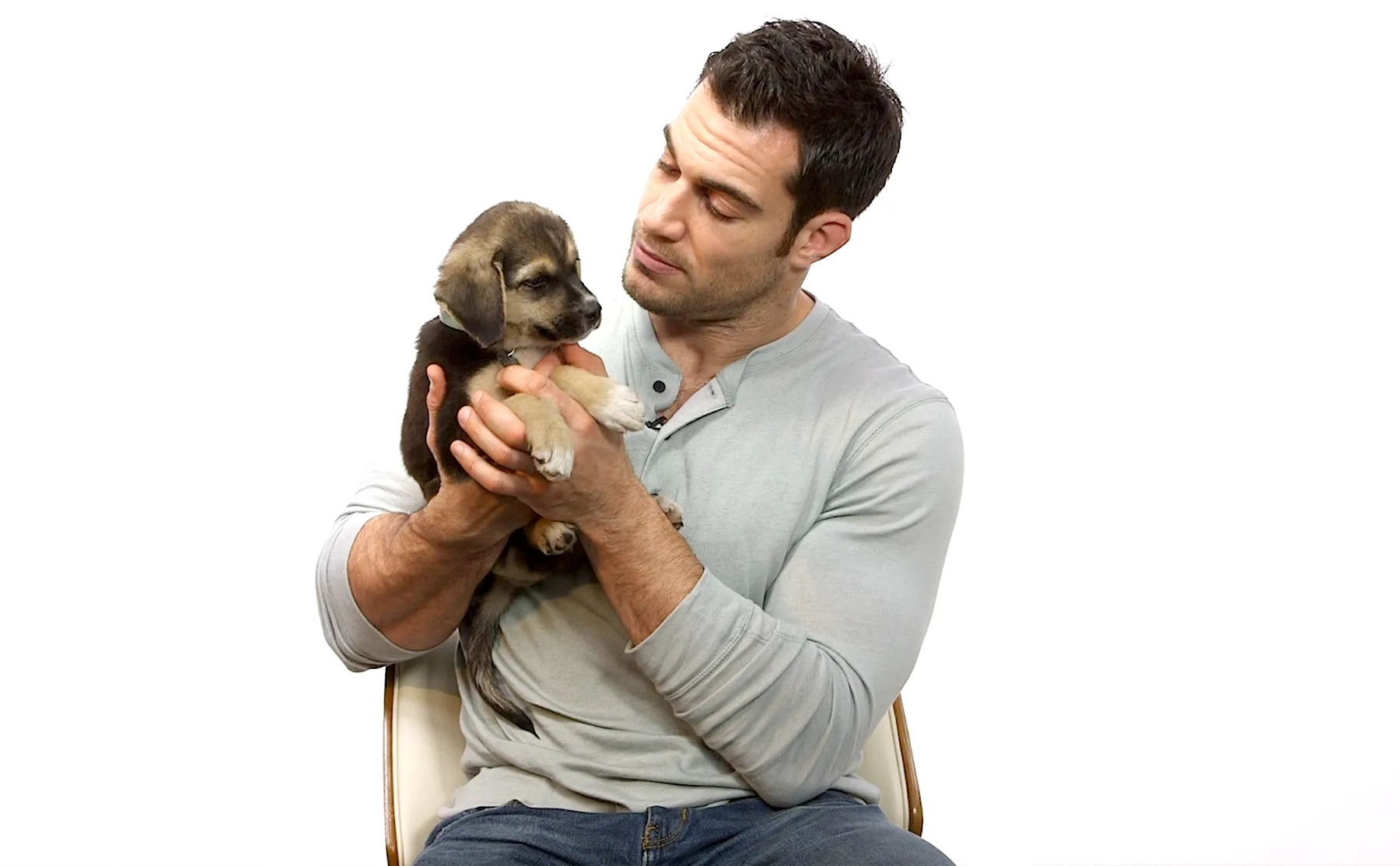 New-Years-Resolutions-pet