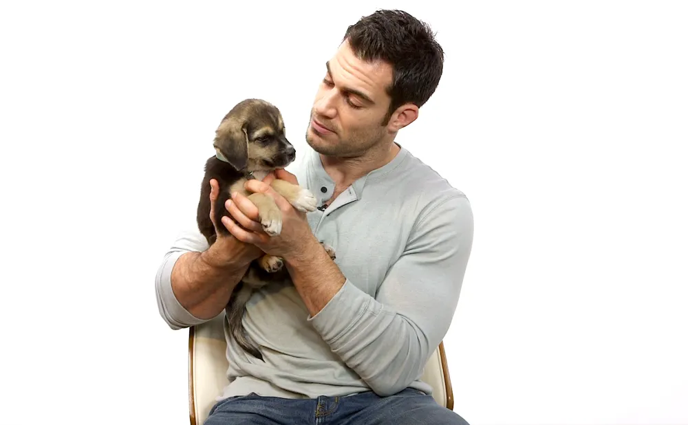 New-Years-Resolutions-pet