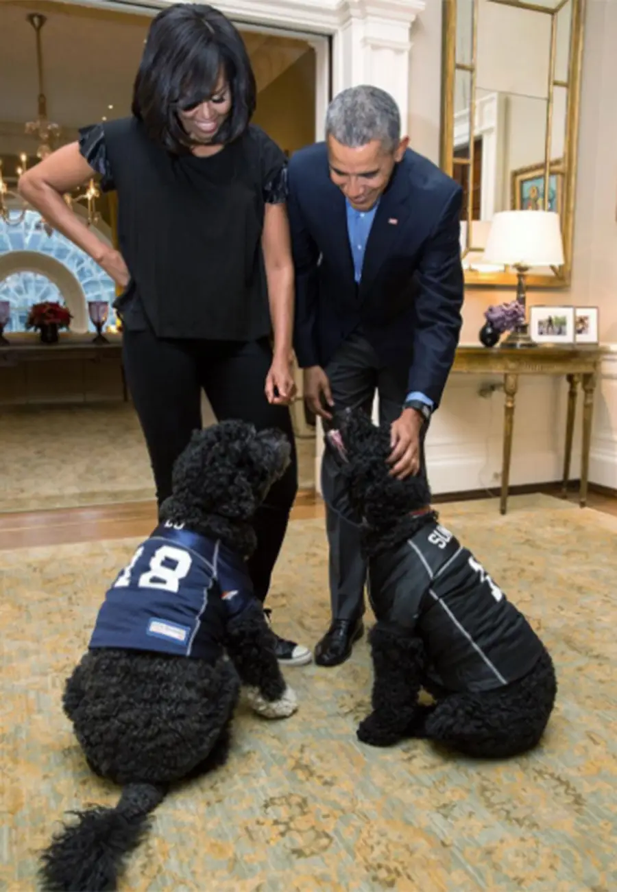 Celeb Superbowl Parties